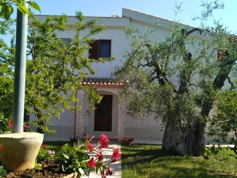 Borgo Cerasa Bed and Breakfast Vieste Exteriör bild