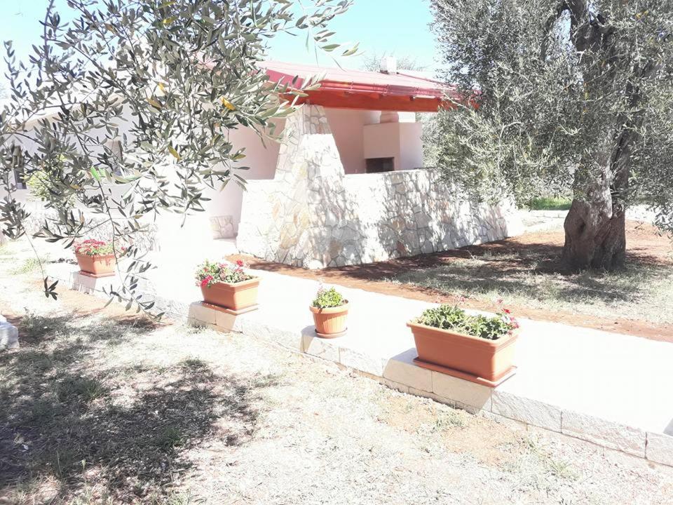 Borgo Cerasa Bed and Breakfast Vieste Exteriör bild
